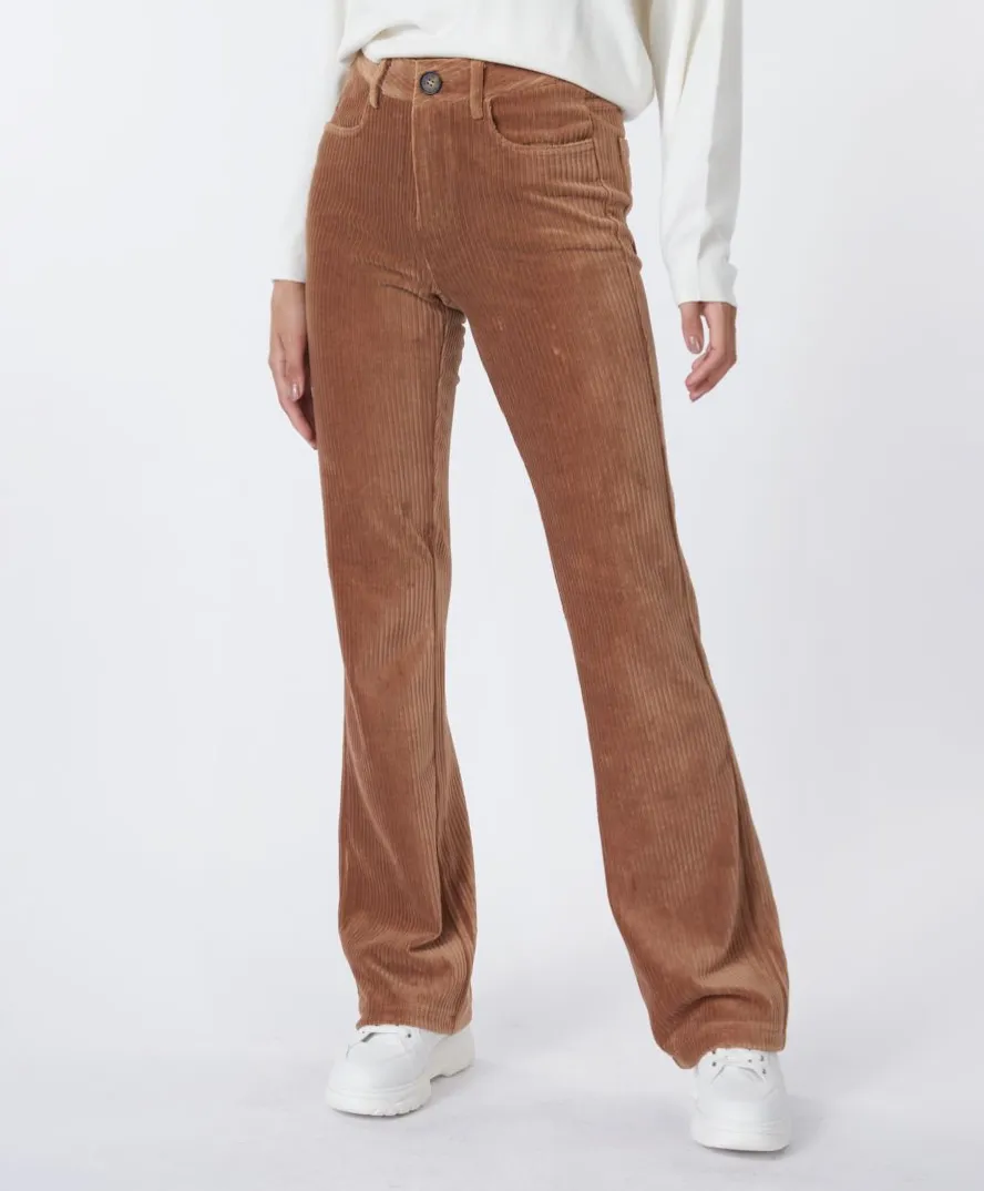Esqualo- Flair Rib Corduroy Pants in Copper Brown
