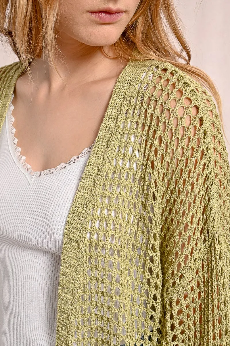 Iridescent Semi-Transparent Mesh Cardigan