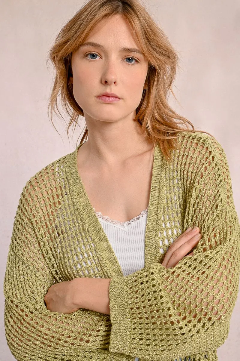 Iridescent Semi-Transparent Mesh Cardigan