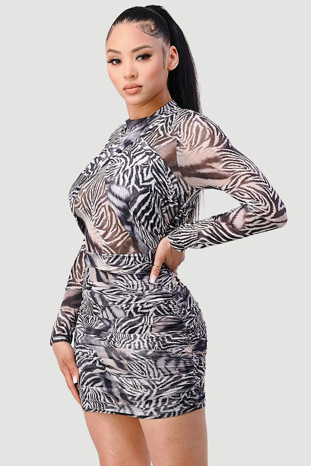 SEXY WILD ANIMAL PRINT MESH SEE-THRU MINI DRESS